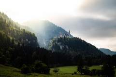 Nikolaj Wiegard Fotografie